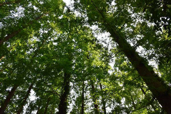 廣州市珠海、天河區(qū)全力推進(jìn)秋冬季大氣污染防治攻堅(jiān)工作