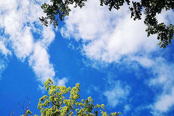 逐“綠”而行，迎“藍”而上—常熟聚焦VOCs治理全力攻堅臭氧難題