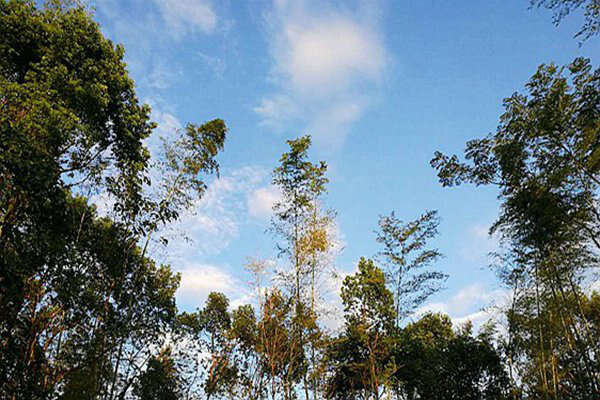 包河區(qū)生態(tài)環(huán)境分局：藍天不是等出來的，是干出來的