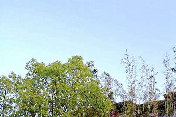 廢氣治理＋綠色運(yùn)輸！安徽省第三生態(tài)環(huán)境保護(hù)督察組調(diào)研阜陽空氣質(zhì)量提升攻堅(jiān) 