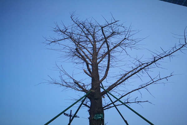 提“氣”質(zhì)丨打造2.0版本，實現(xiàn)“大數(shù)據(jù)”精準治污