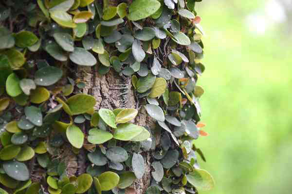 全國(guó)已建成“兩級(jí)、三類、一清單”的生態(tài)環(huán)境分區(qū)管控體系 