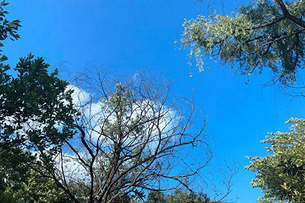 烏魯木齊道路積塵治理有妙招：動(dòng)態(tài)監(jiān)測(cè) 聯(lián)合督導(dǎo)，助力空氣質(zhì)量改善