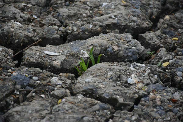 和田地區(qū)全域開展危廢規(guī)范化評(píng)估 守護(hù)生態(tài)環(huán)境安全