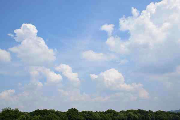 精準(zhǔn)“削峰”戰(zhàn)臭氧，全力守護(hù)“瓷都藍(lán)”