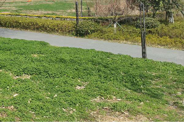 筑牢質(zhì)量“安全線”！珠海市生態(tài)環(huán)境局等四部門加強(qiáng)建設(shè)用地土壤環(huán)境聯(lián)動(dòng)監(jiān)管服務(wù)