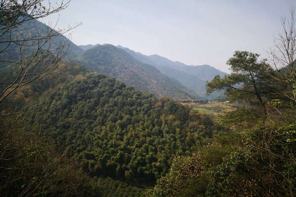 甘肅“五棋聯(lián)動”筑牢西部生態(tài)屏障，PM2.5平均濃度連續(xù)兩年同比下降