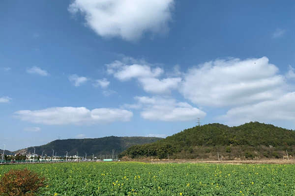 壽光市三措并舉攻堅大氣治理 持續(xù)擦亮“藍天底色”