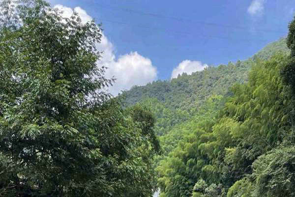 寧夏“十五五”規(guī)劃建議出爐 加快經(jīng)濟社會發(fā)展全面綠色轉型