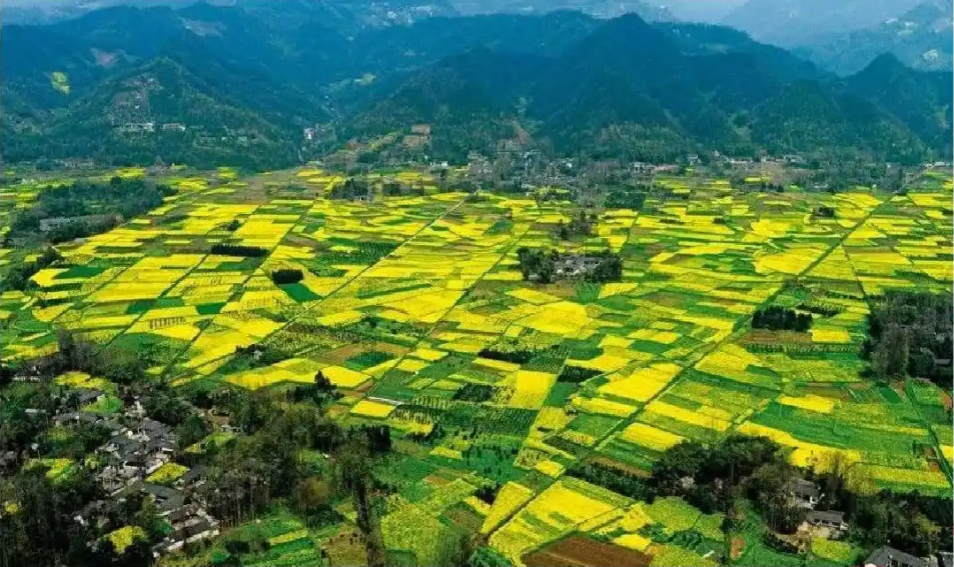 讓美麗四川顏值更高、實力更強！示范創(chuàng)建將從三方面發(fā)力
